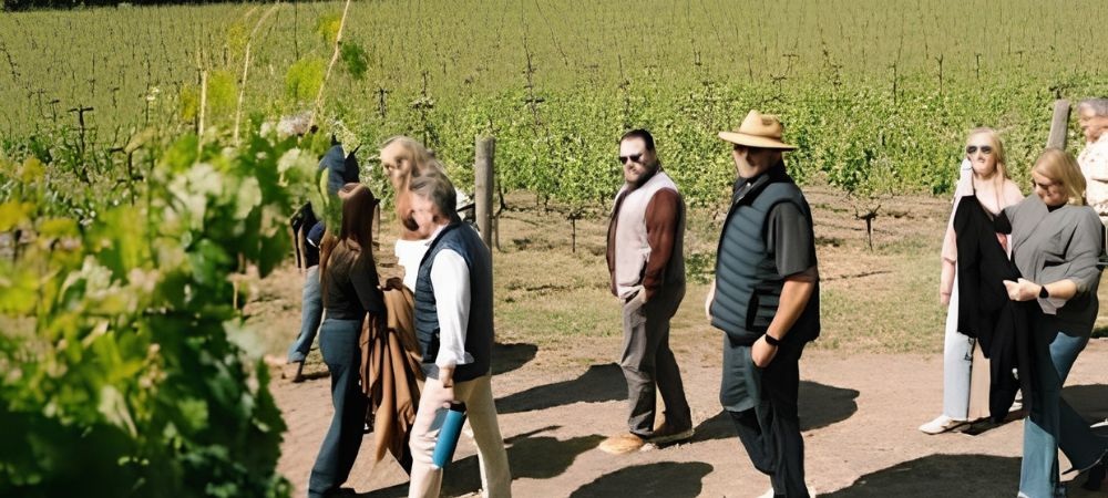 Napa Valley — Benchmarking Beyond the Boardroom