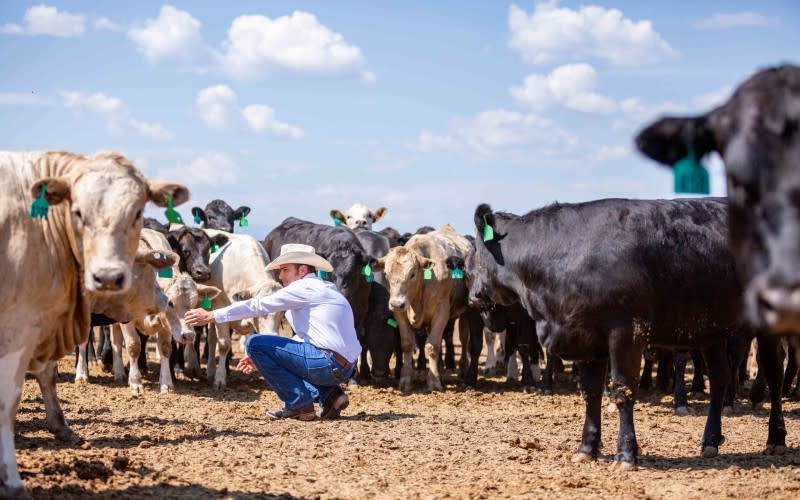Texas — Best Agricultural Trip Destinations Across America