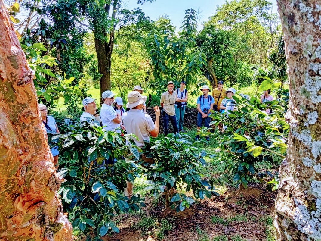 Costa Rica destination experience