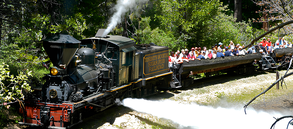 Ulrich association group by the Yosemite train