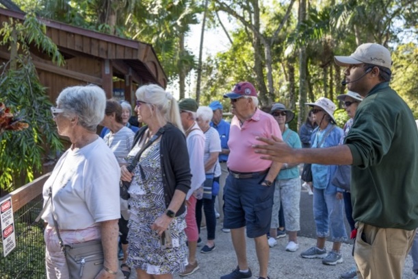 Senior Travel Groups