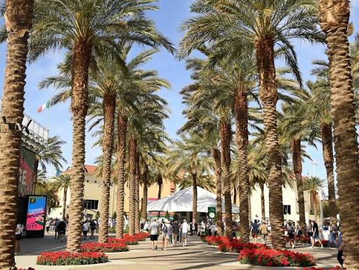 Palm-lined pedestrian walk near the Indian Wells tennis venue