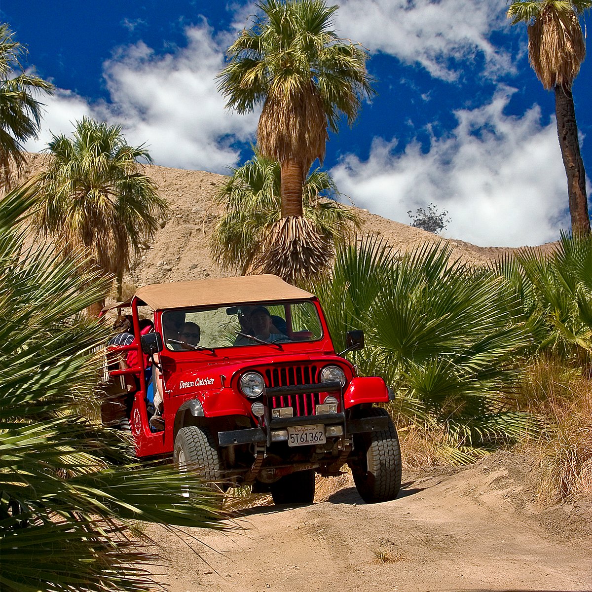 Desert Jeep Tour