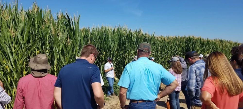 California — Dairy, Produce and Precision Farming