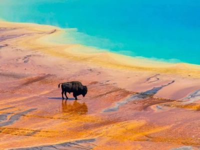 home get americas most popular destinations usa yellowstone np